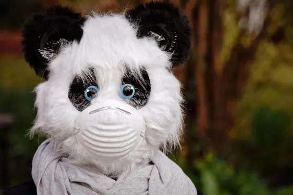 カジノ エイト ストーム サポート